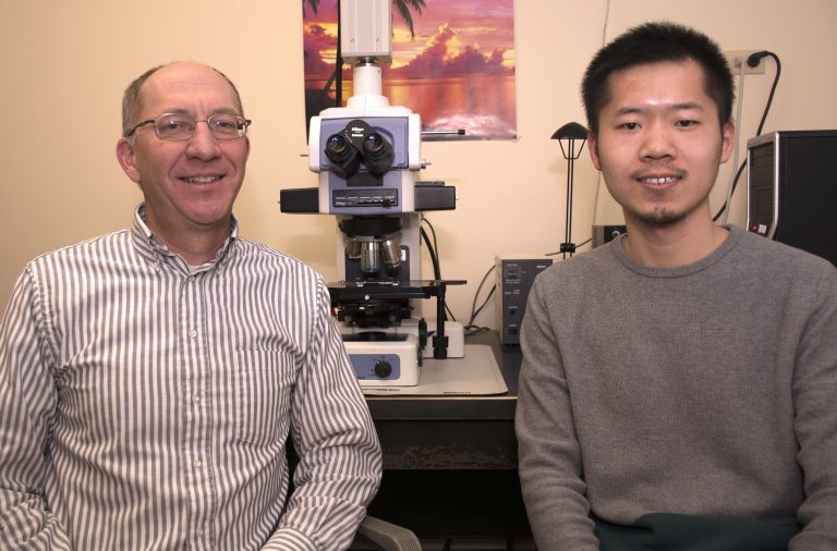 Dan Wall and Pengbo Cao