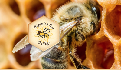Wyoming Bee College logo in front of bee in hive