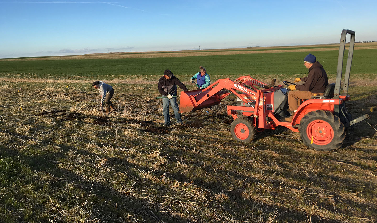 Workers are in a field are unloading material from a tractor loader.