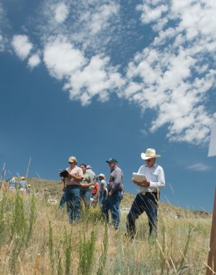 People stanidng on hillside looking at grass and weeds.