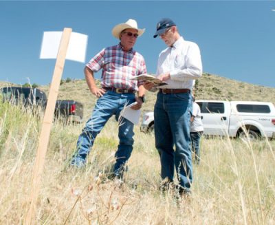 Two men looking a paper in a field.