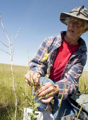 Woman kneels by plant