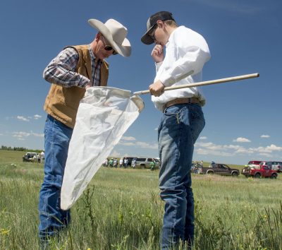 Father and son look into sweep net