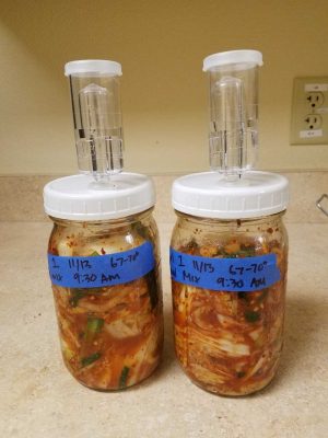 homemade kimchi in glass jars