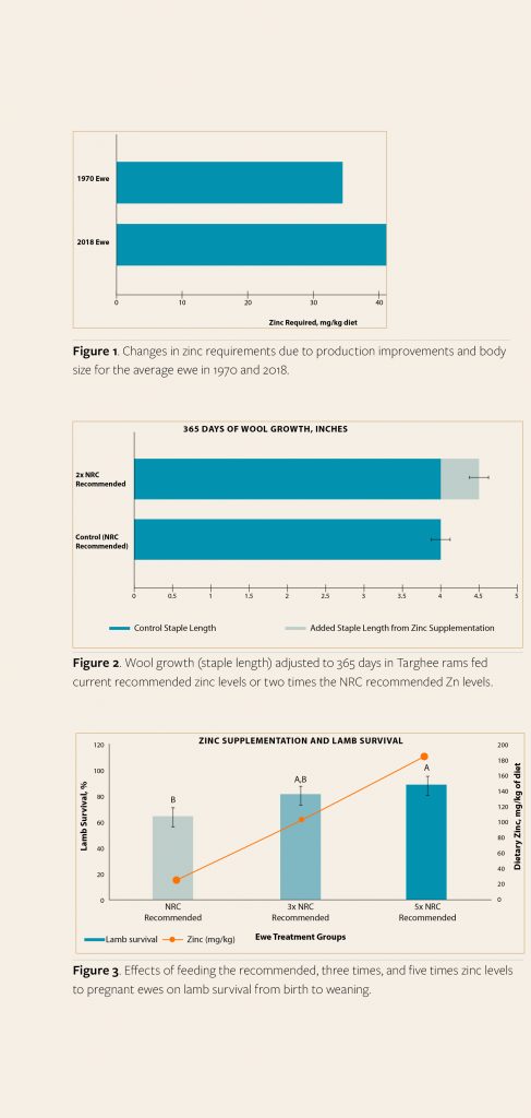 Graphs depicting how zinc supplementation impacts wool growth and lamb survival.