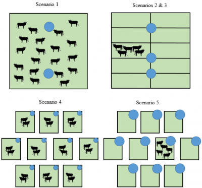 diagram illustrating steers, fencing and water tanks for each scenario