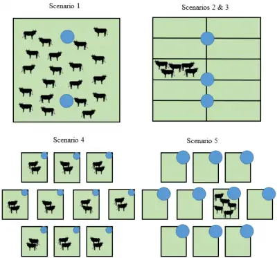 diagram illustrating steers, fencing and water tanks for each scenario