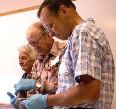 Three people standing and holding a patch of wool