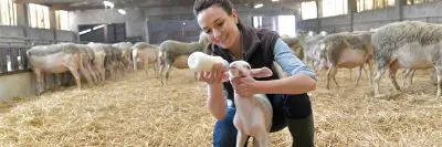 Woman bottle feeding lamb