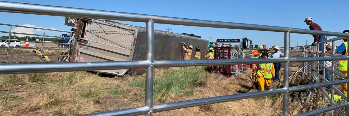 Emergency responders cut a hole in a tipped over livestock truck to allow cattle to safely escape. Scene was surrounded by portable metal corrals.