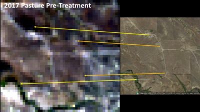 Tyler Jones 2017 Pre-Treatment Map showing Google Map image with true color Landsat 8 images, arrows drawn to show key location relationships between both images