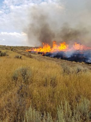 Wildfire burning across range.