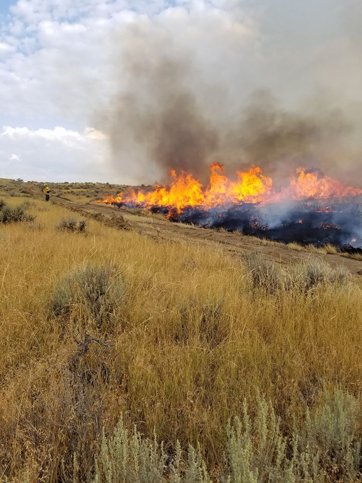 Wildfire burning across range.