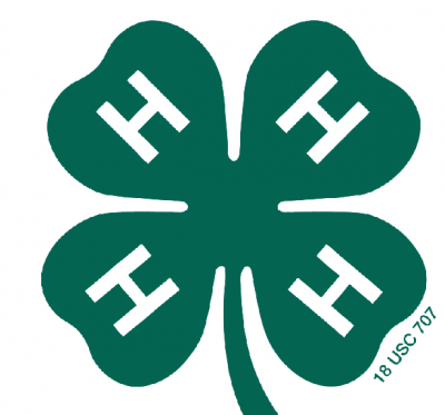 4-H four clover