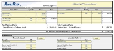 Screen shot of a spreadsheet