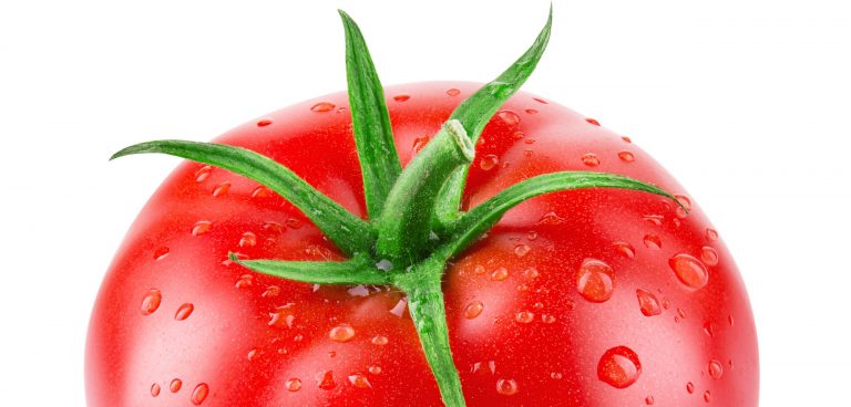 bright red tomato with green stem and water droplets
