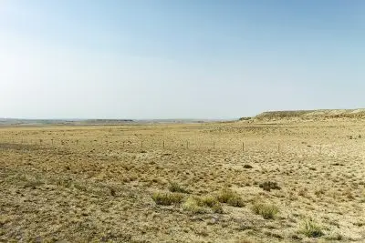 dry, golden grasses with blue sky in background