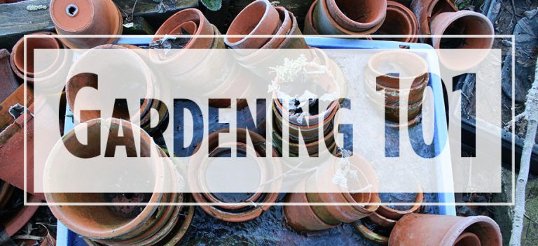Text "Gardening 101" over image of stacked terra cotta pots