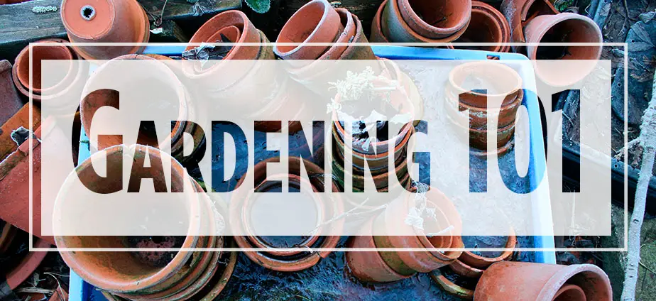 Text "Gardening 101" over image of stacked terra cotta pots