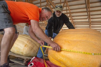 Two mean measure a pumpkin