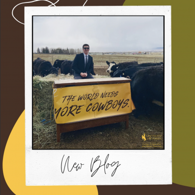 Individual in suite and tie sitting on hay bale surrounded by cows with desk