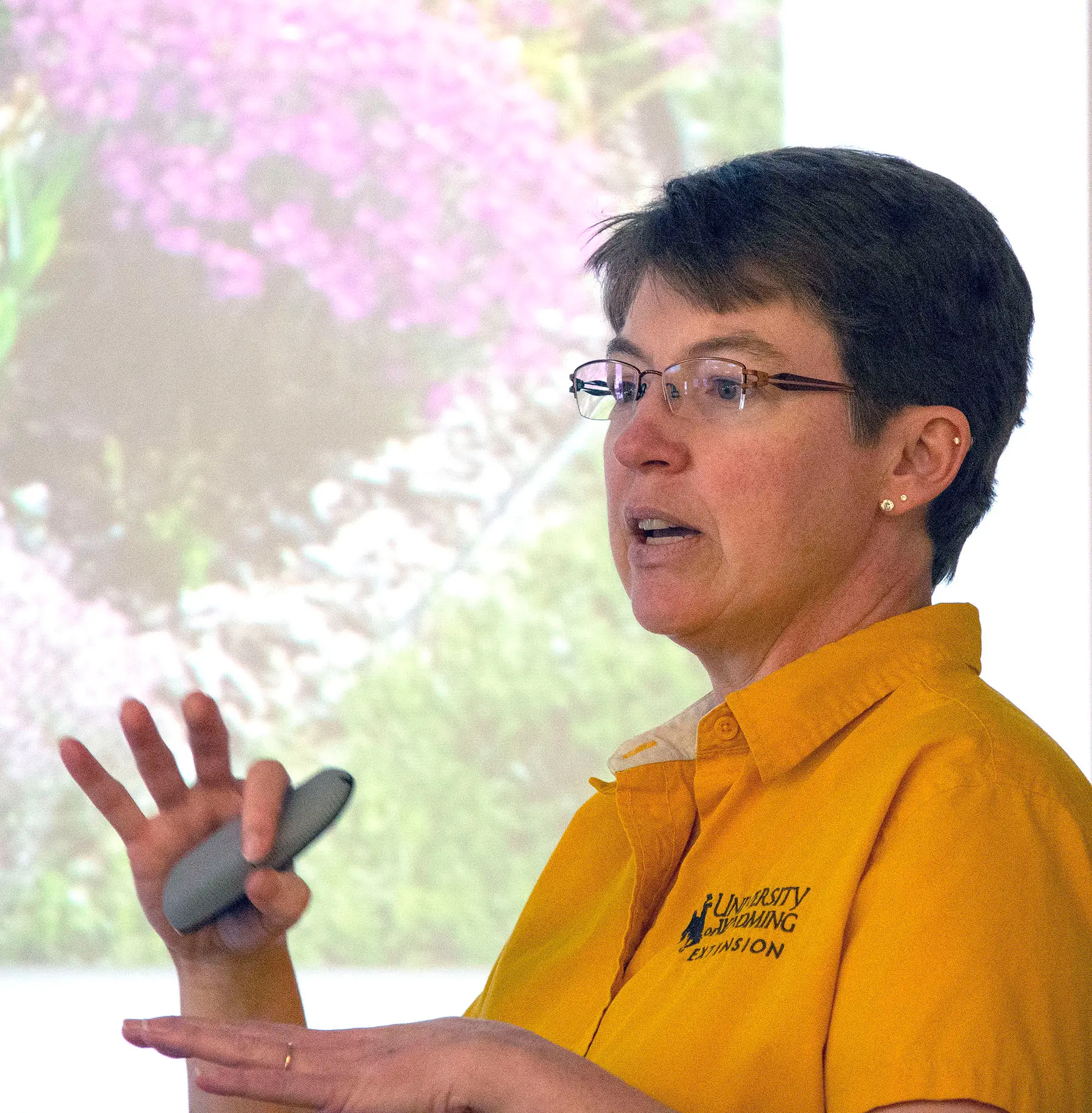 Individual giving a presentation