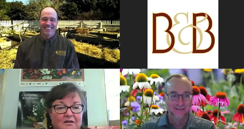 Three people on Zoom screen