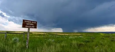 Green grasslands with heavy cloud-covered sky.