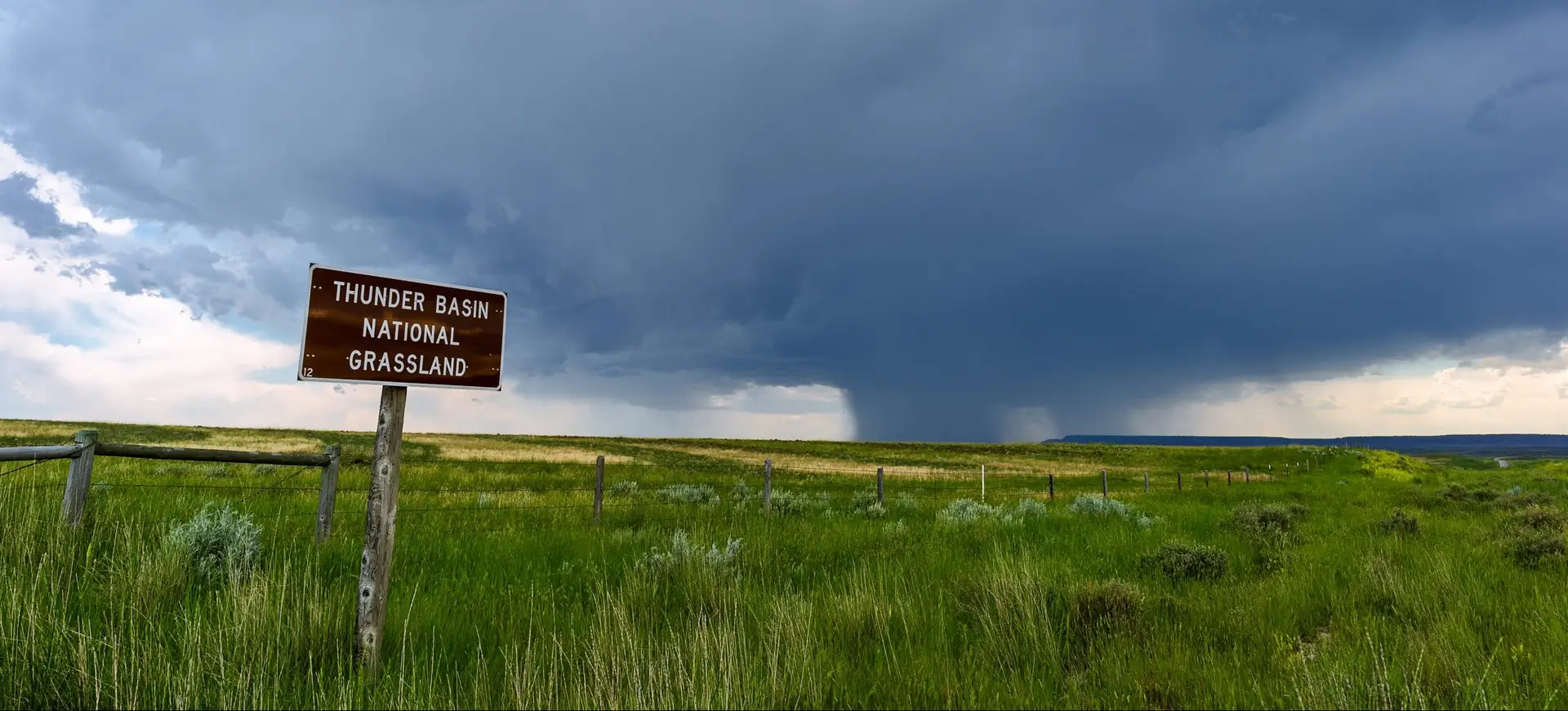 Green grasslands with heavy cloud-covered sky.