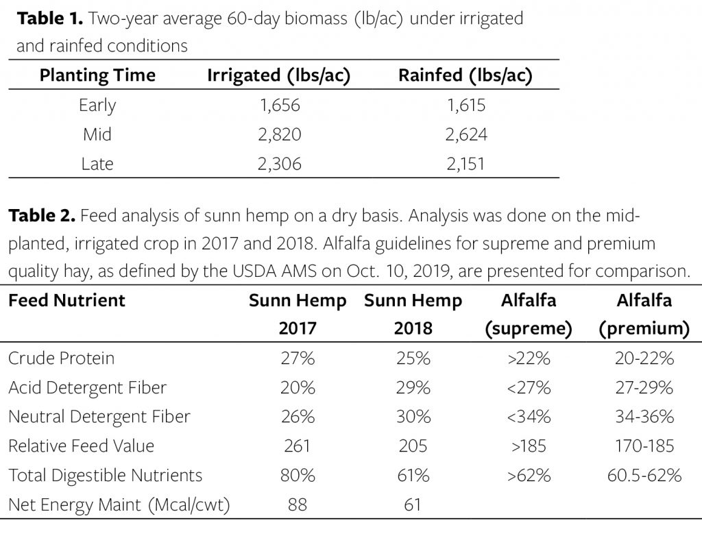 Table 1. Two-year average 60-day biomass (lb/ac) under irrigated and rainfed conditions. Table 2. Feed analysis of sunn hemp on a dry basis. Analysis was done on the mid-planted, irrigated crop in 2017 and 2018.