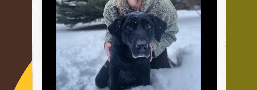 Girl in snow with dog