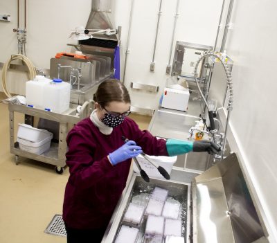 Woman puts samples into cool water