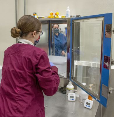 Two laboratory workers handle samples in the UW Biocontainment Facility