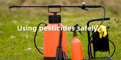 Orange pesticide sprayers