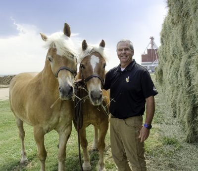 Horses standing next to man