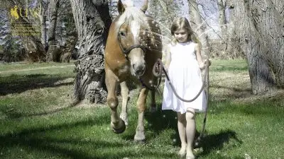 Woodland fairy takes Pistol for a walk.