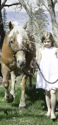 Woodland fairy takes Pistol for a walk.