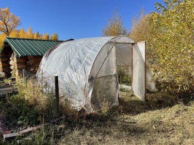 Backyard high tunnel