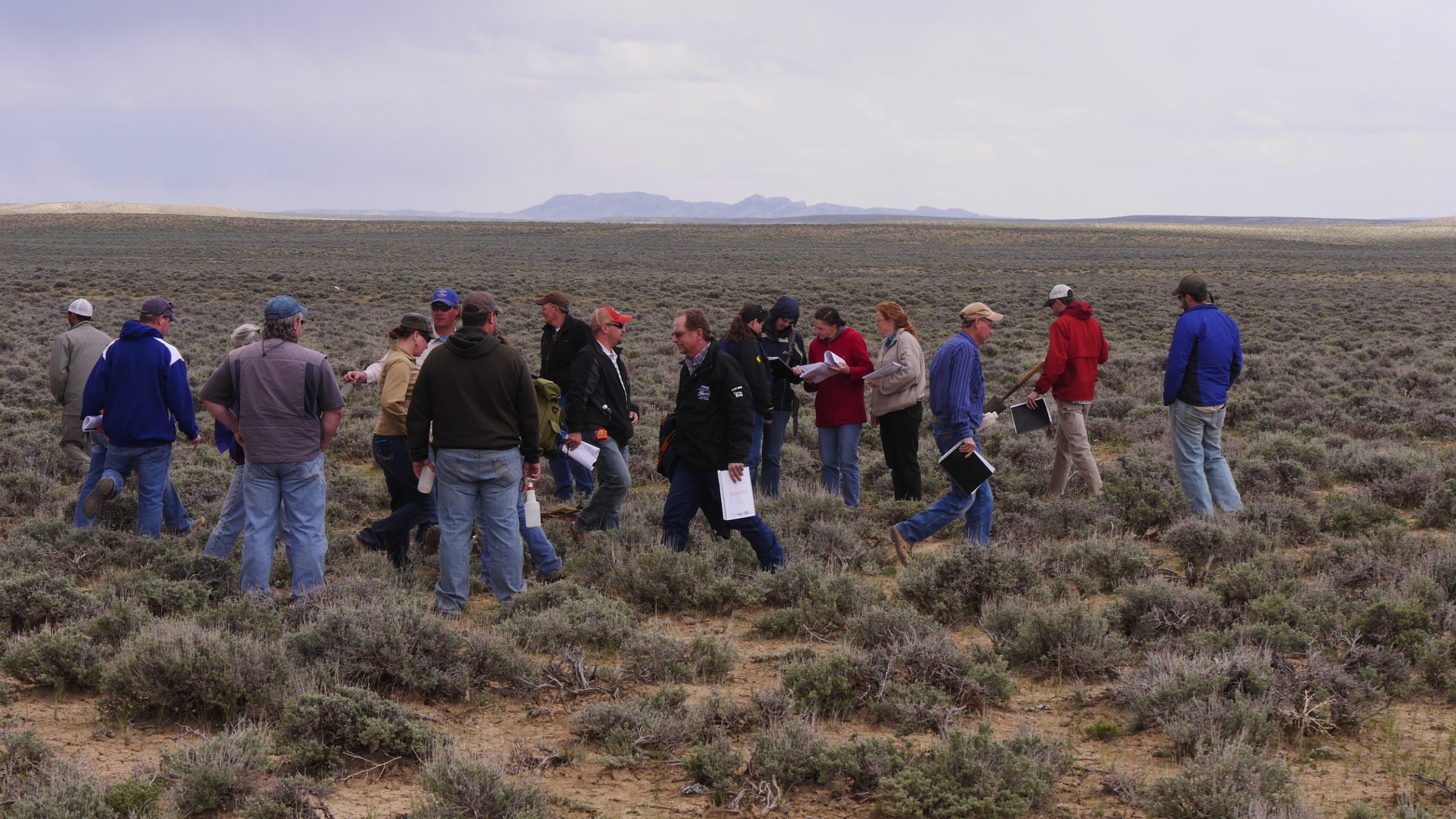 College of Agriculture & Natural Resources launches new Ranch ...