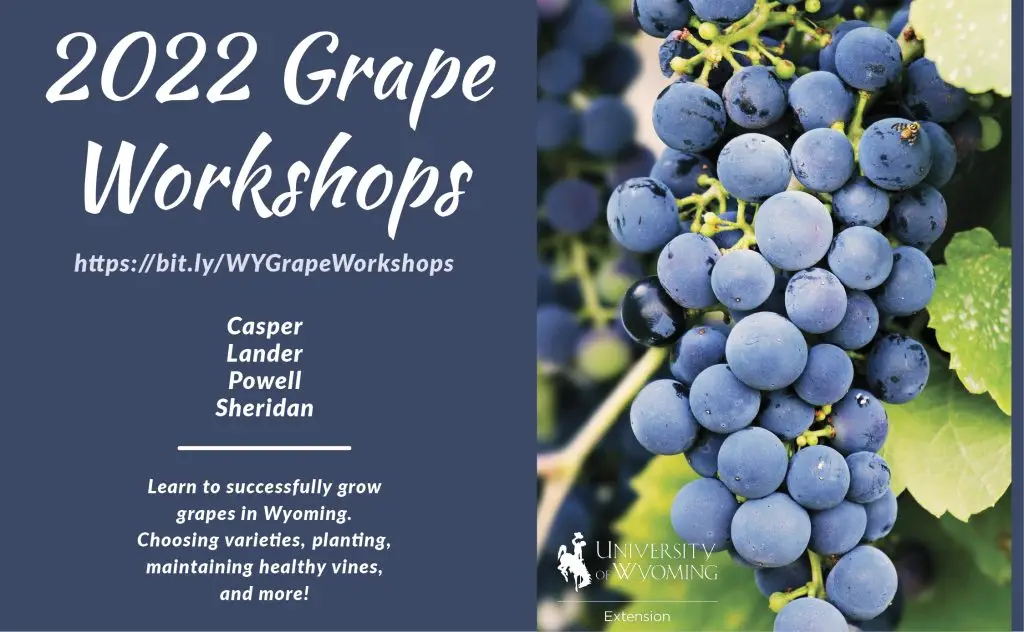 Upcoming Grape Workshops