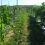 CANCELLED: Grape-Growing Symposium in Lander on May 21