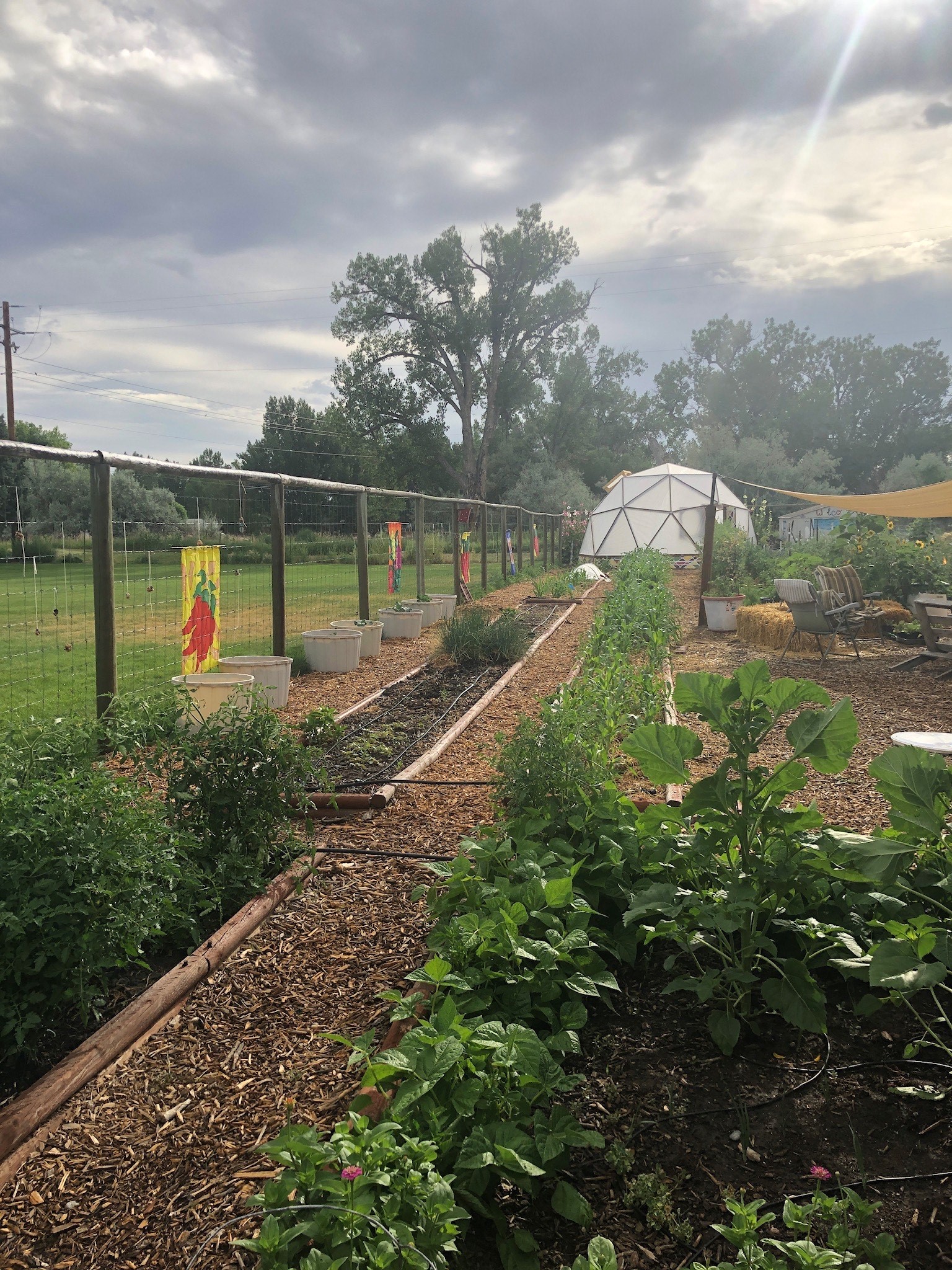 Worland Community Garden