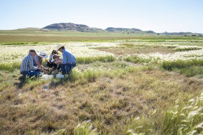 group examining grasses on rangeland