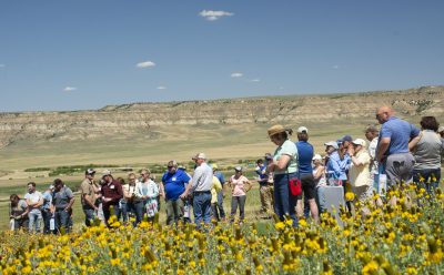 large group of people gathers in a field with yellow flowers and a striated rock formation in the background