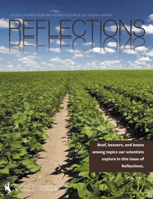 2021 Reflections research magazine cover with rows of green plants and blue sky with puffy clouds