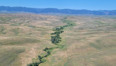 green and brown floodplain with a line of trees stretching across the middle and leading to mountain foothills