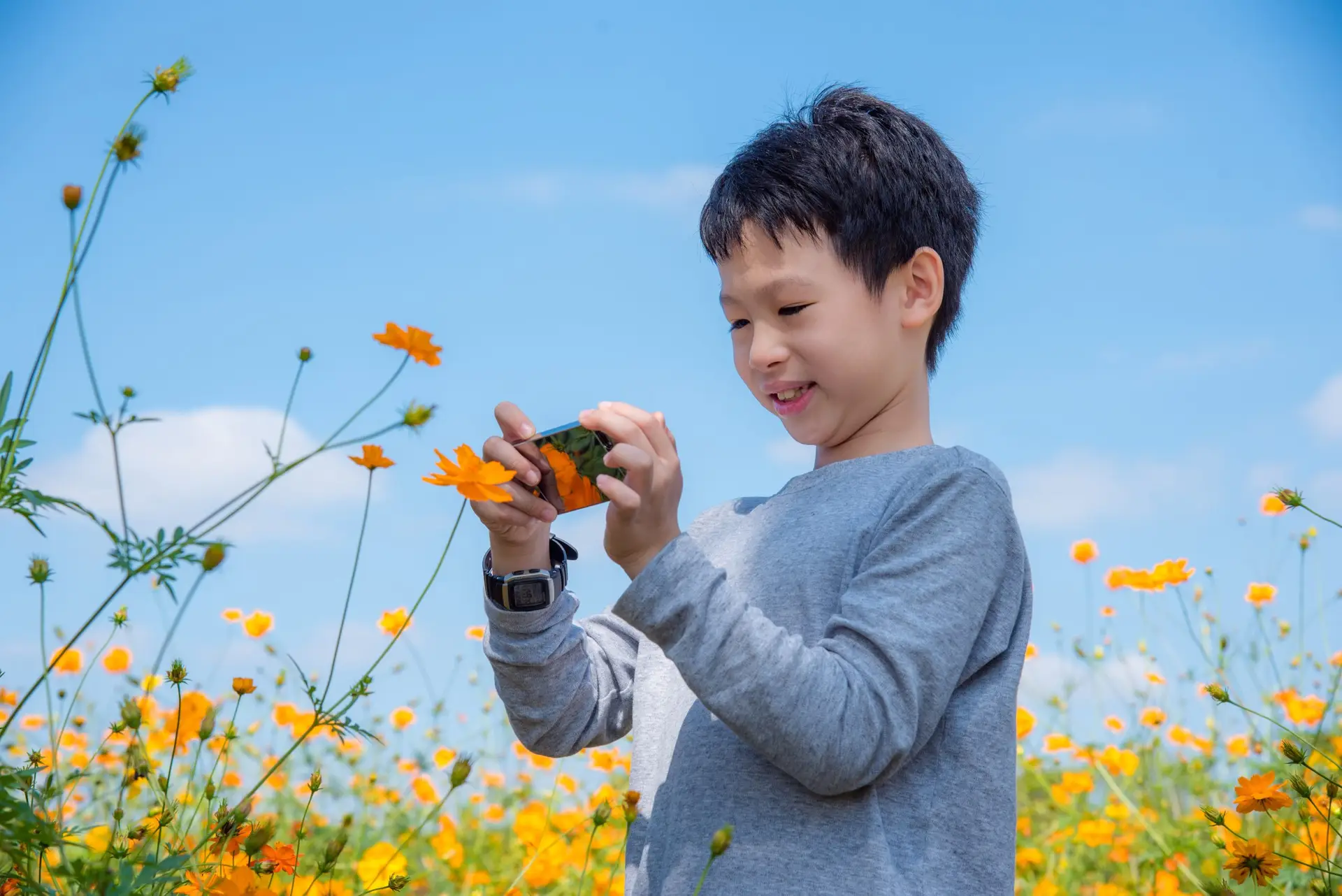 Young child taking photo of flower by smart phone