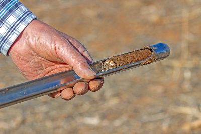 hand holding soil corer with soil sample