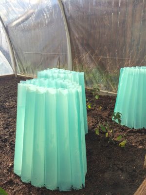 aqua walls of water around plants inside a high tunnel greenhouse