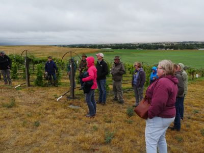 Group of people standing on yellowed grass near a vineyard bordered by a green field with houses in the distance